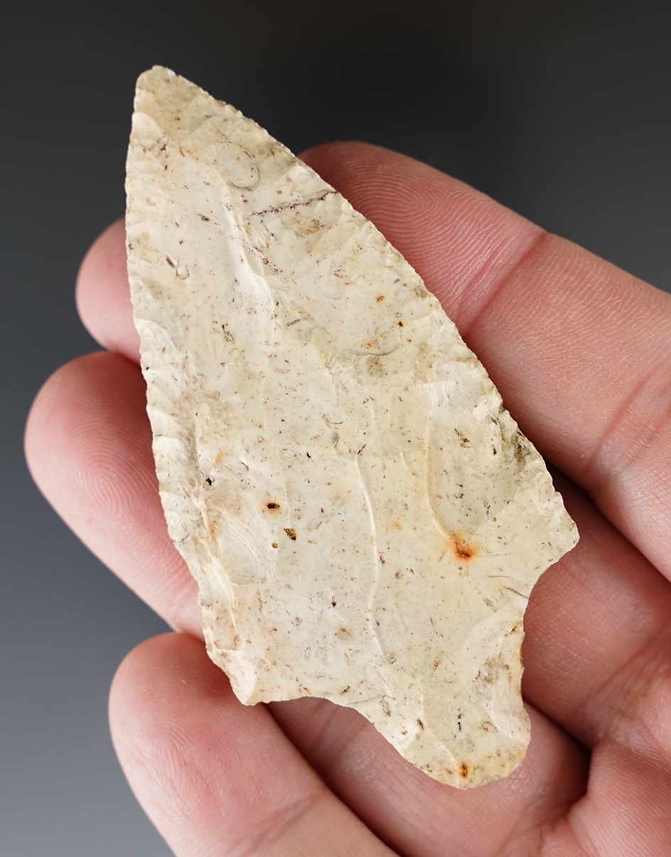 2 3/16" stemmed knife found near Gainesville, Alachua County Florida.