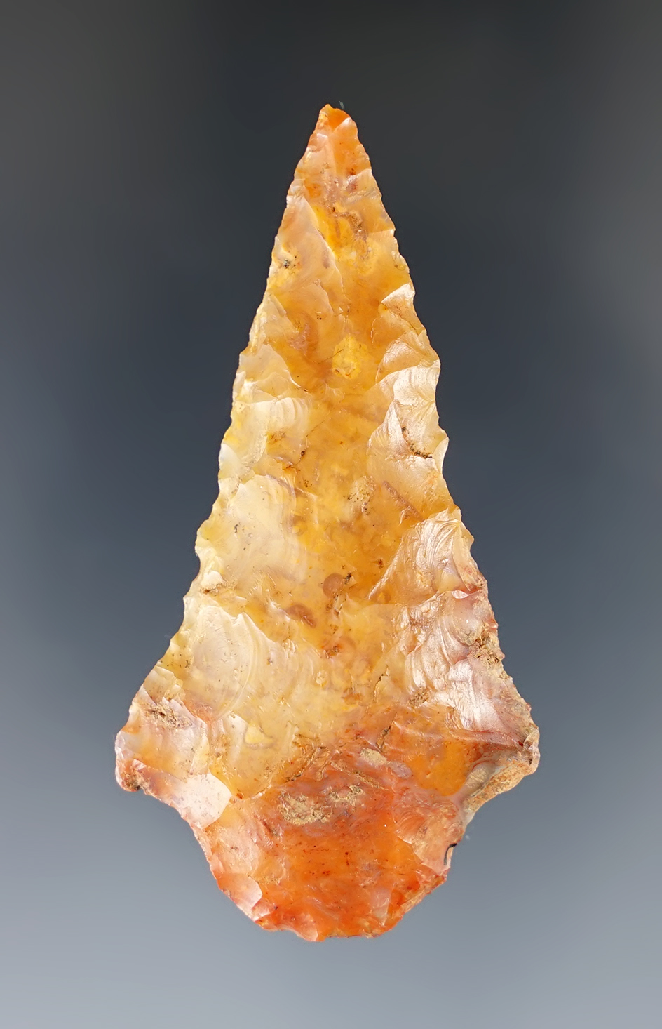 2 3/8" Sumpter knife made from agatized coral found in Florida. Comes with a Bennett COA.