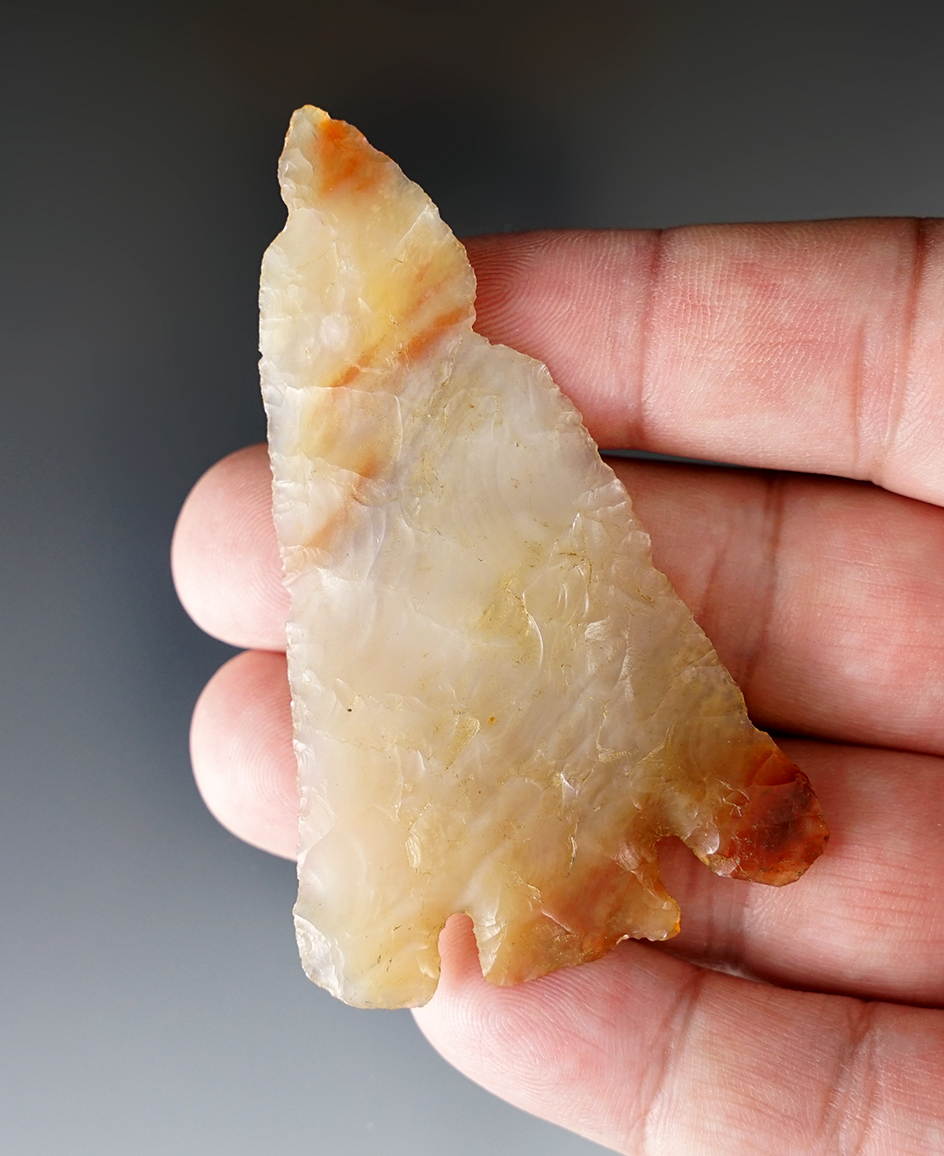 Incredible! Large Hells Canyon Basal Notch with great material and flaking. Snake River, Idaho.