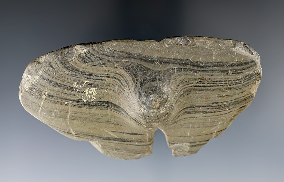 3 3/4" Wide Notched Wing Bannerstone preform found in Ohio.