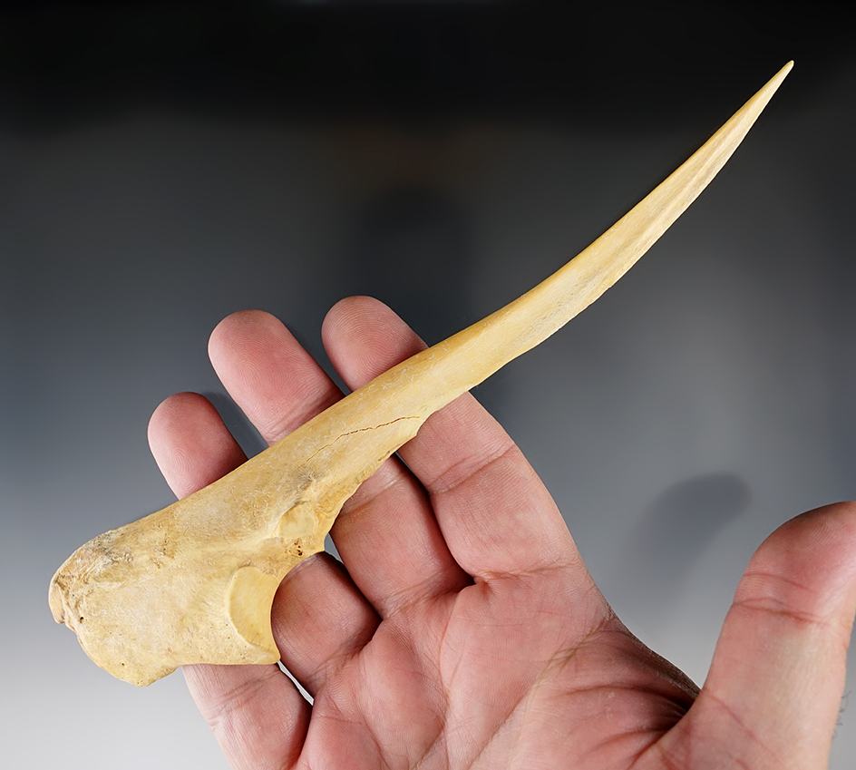 Long 8 1/4" bone Trigger Awl found in New Mexico in very nice condition.