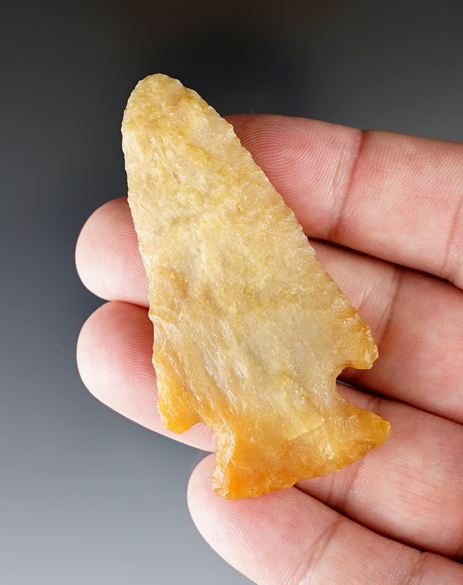 Archaic Cornernotch made from beautiful Agatized coral found in Florida.  Bennett COA.