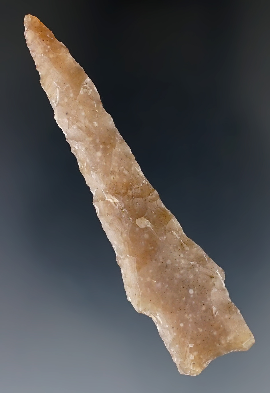 3 1/16" Darl Drill found in Williamson Co., Texas. Comes with a Roger COA.