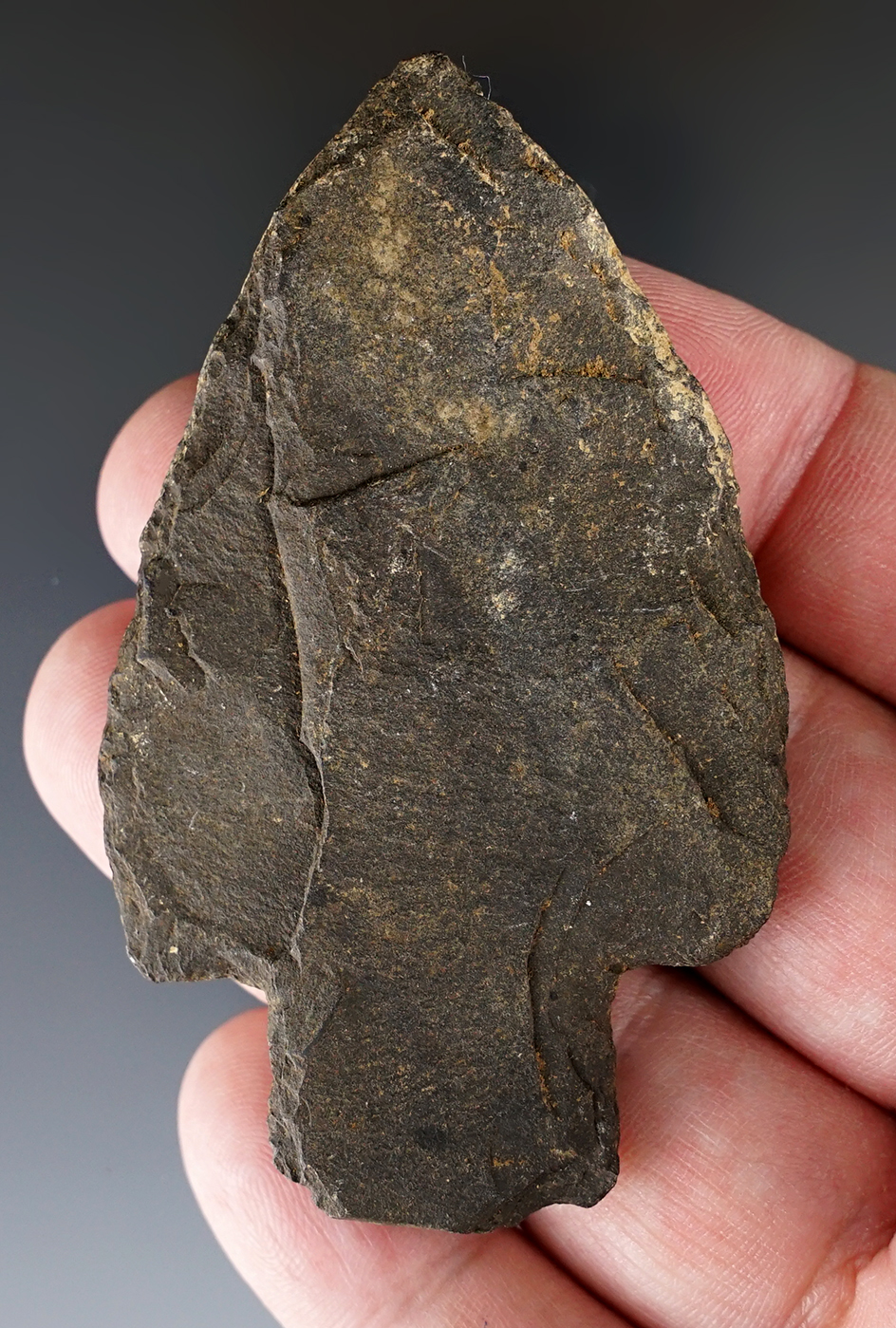 3 1/16" Slate harpoon tip found in Alaska.