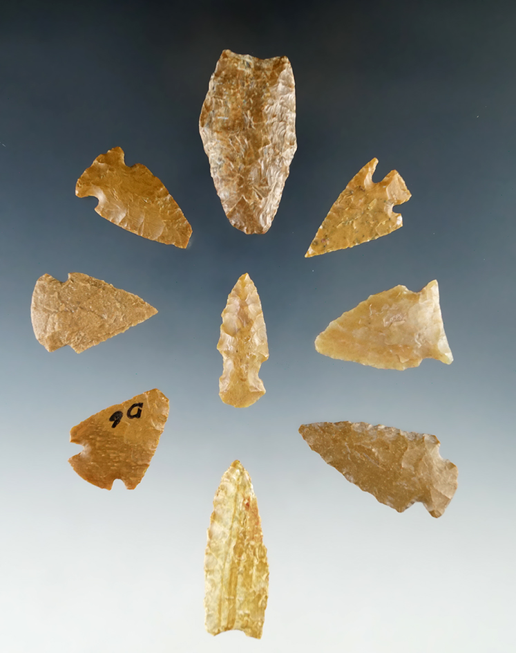 Group of nine assorted arrowheads found in Colorado, largest is 1 11/16".