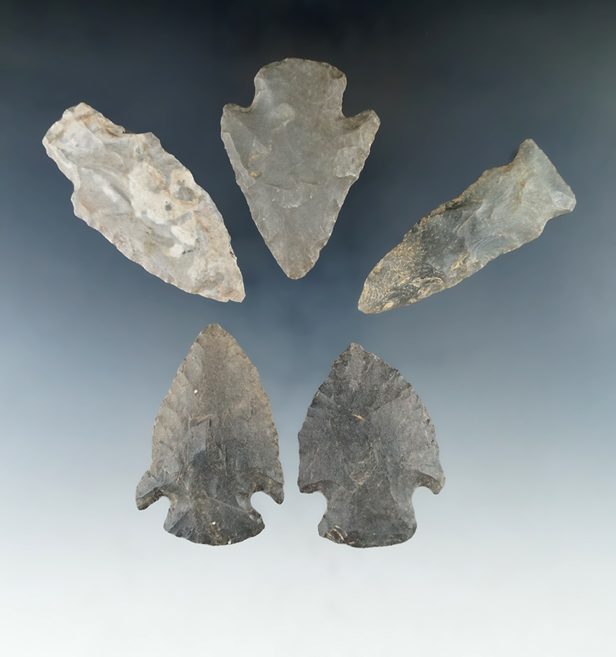 Group of five nice points and knives found in New York, largest is 2 3/4".