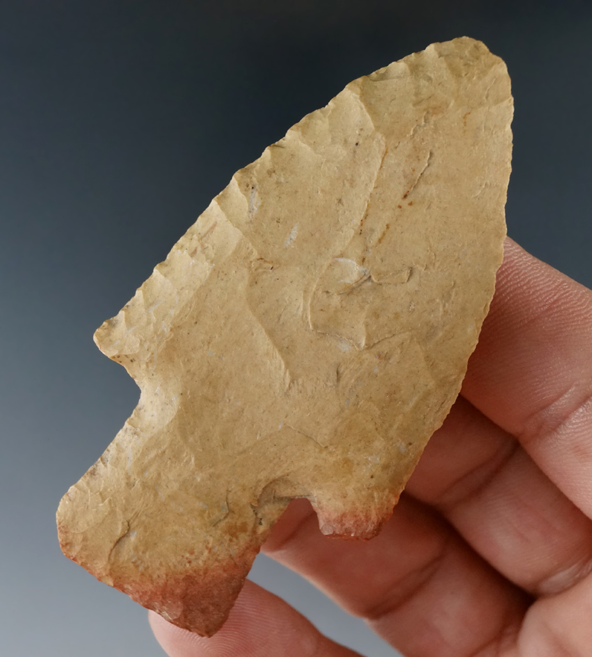 2 13/16" Hardin that is nicely flaked found in Arkansas.