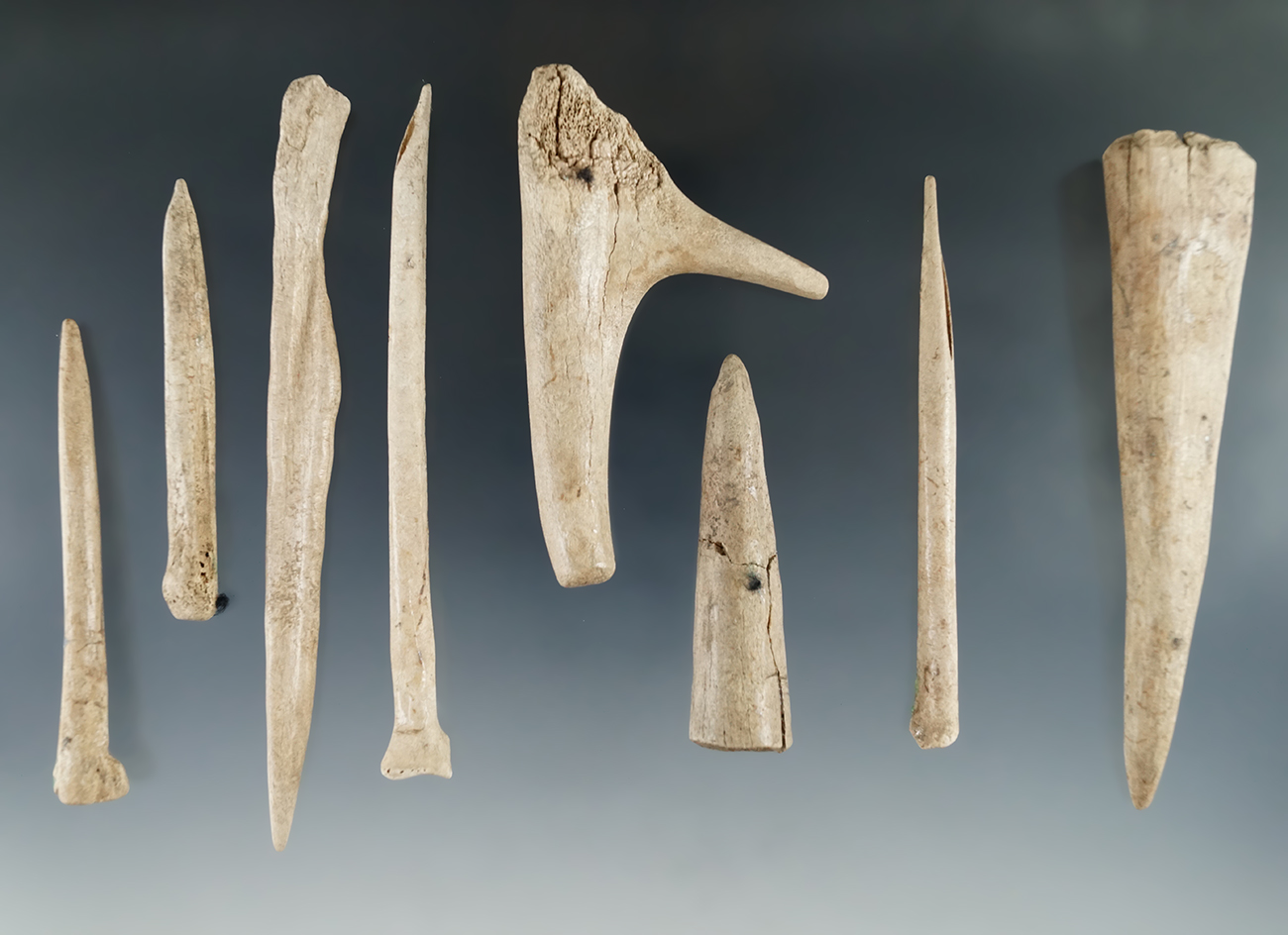 Group of bone artifacts found in Crib Mound, Spencer Co., Indiana by Bob Edler.