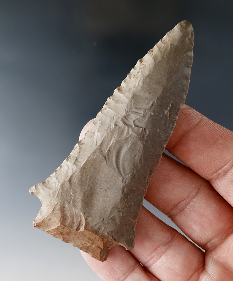 3 1/4" Stemmed Knife with excellent flaking found in Tennessee.