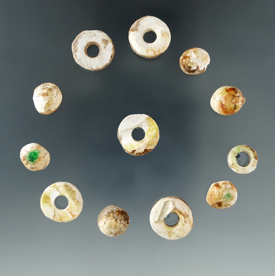 Group of shell beads from Crib Mound found by Bob Edler. Ex. Bob Edler, Larry Tolliver collections.