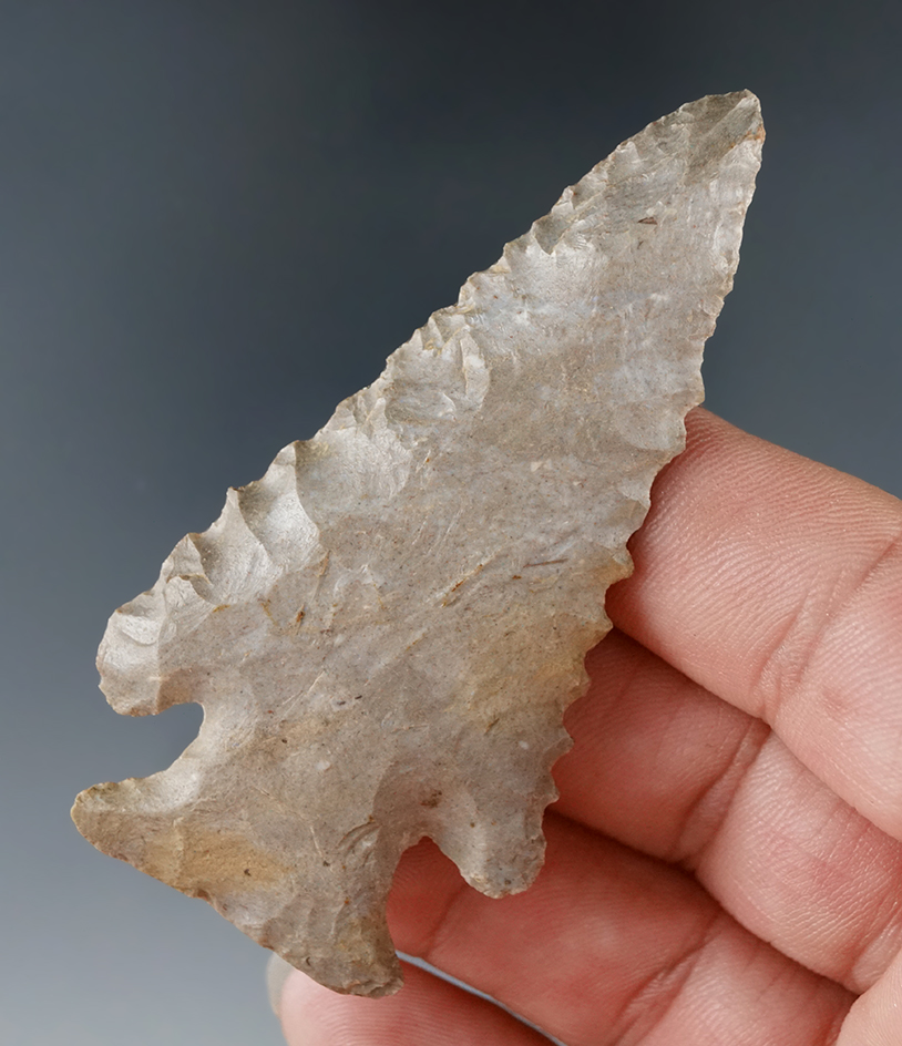 2 7/8" nicely flaked Archaic Bevel made from Fort Payne chert found in Wayne Co., Tennessee.