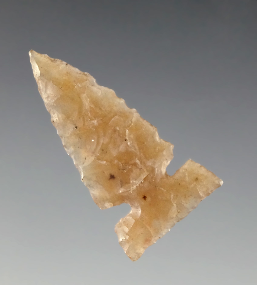 Exceptional 1 1/8" Knife River Plains Sidenotch found in Walworth Co., South Dakota.