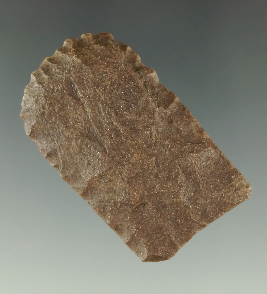 1 11/16" Paleo Midland Blunt found in Oklahoma.