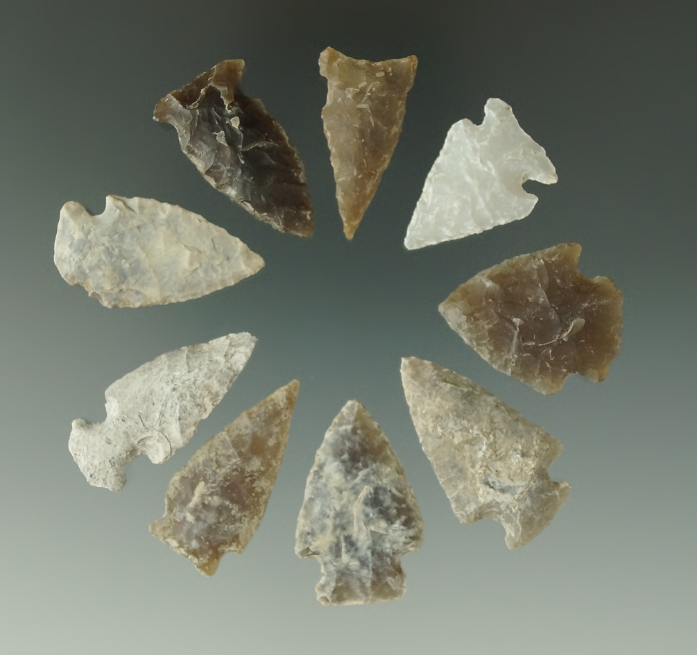 Set of nine assorted arrowheads found in the Dakotas, largest is 1 1/4".
