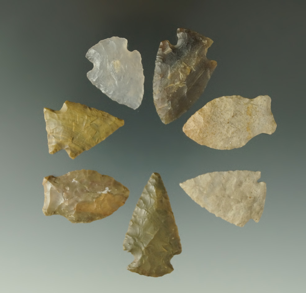 Set of 7 arrowheads in nice condition, largest is 1 9/16" found in Colorado by Louis Brunke.