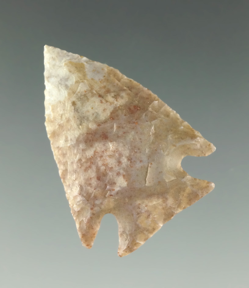 Thin and well flaked 1 1/4" Pelican Lake made from Alibates Flint found in Colorado.