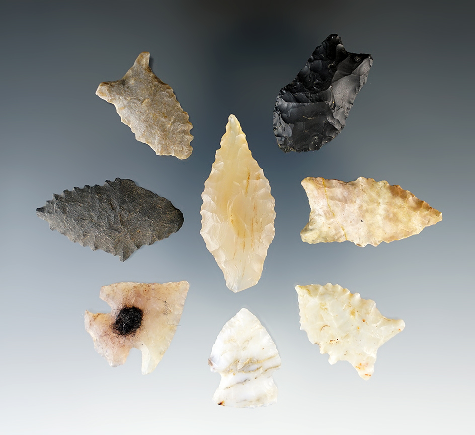Set of 8 assorted points found in New Mexico, largest is 1 3/4".