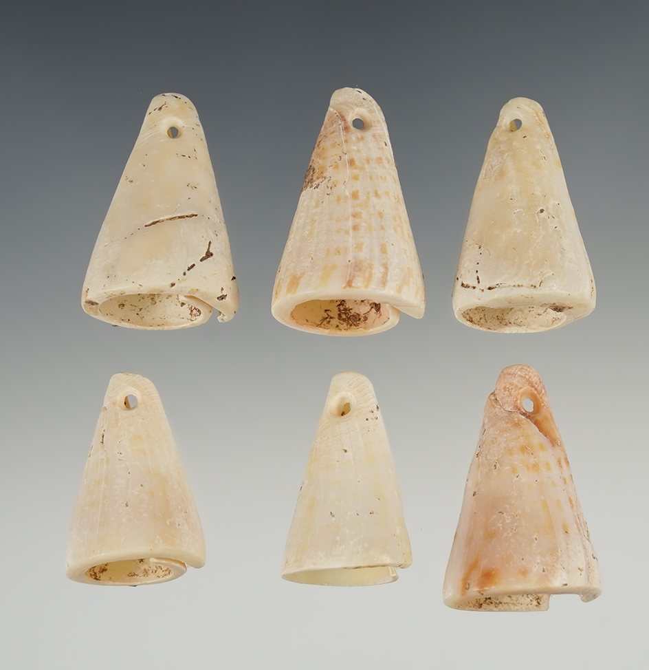 Nice! Set of six well-crafted drilled shell pendants found at a site in New Mexico. Largest is 1 1/2"