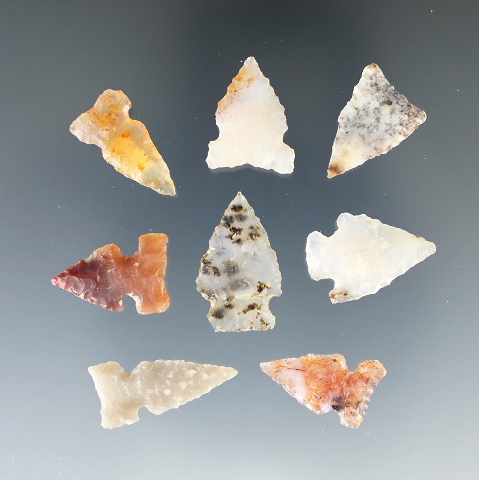 Set of eight assorted New Mexico arrowheads made from attractive materials. Largest is 7/8".
