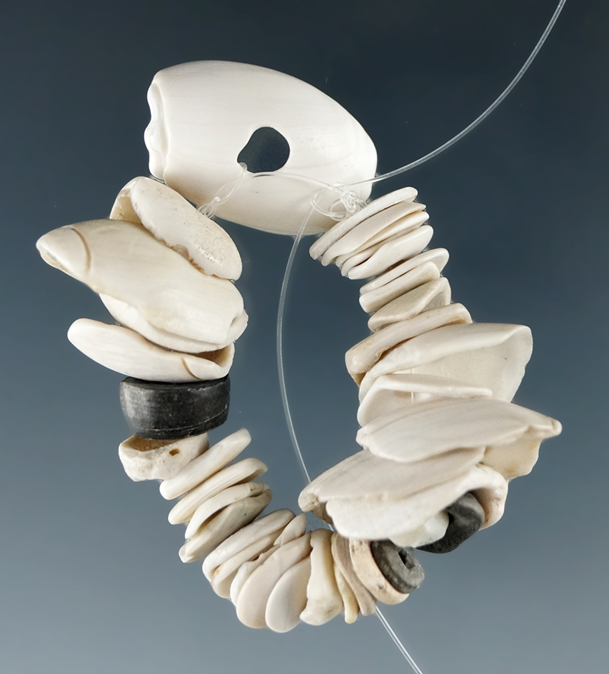 Set of shaped and Drilled shell and stone beads found in Humboldt Co., Nevada.