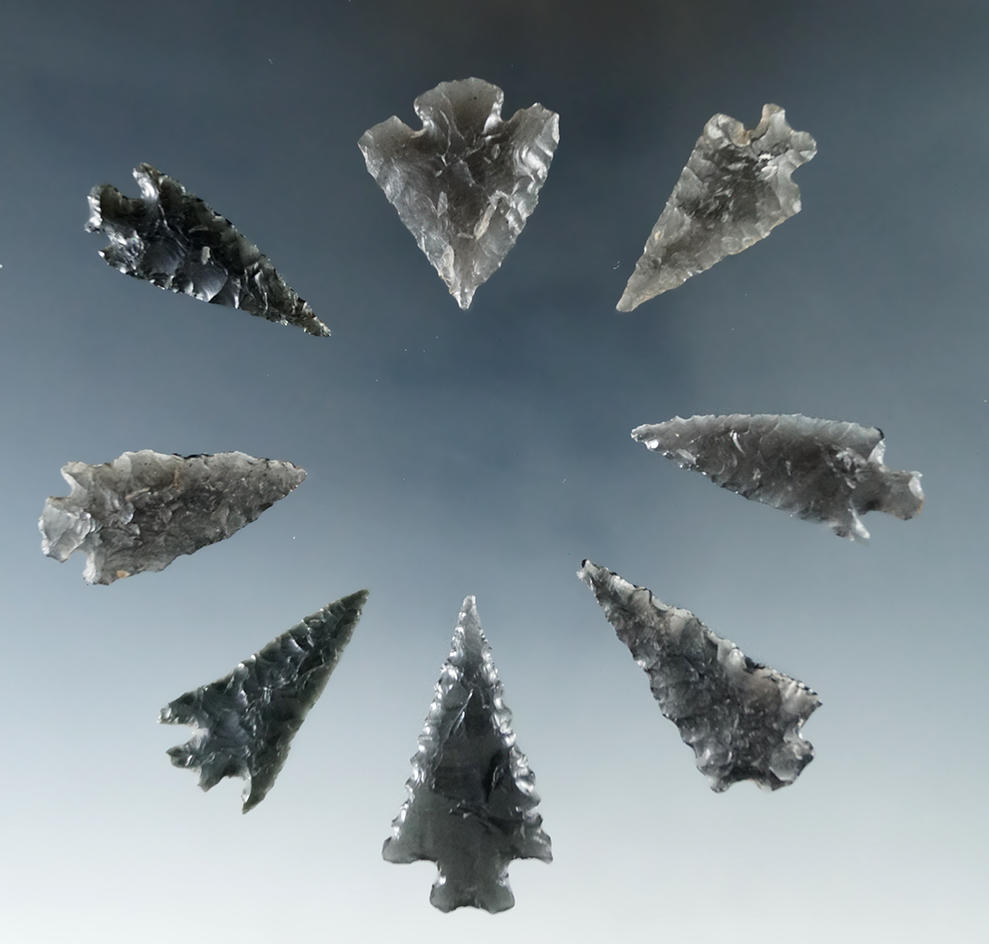 Set of eight obsidian arrowheads found in Humboldt Co., Nevada, largest is 1 7/16".