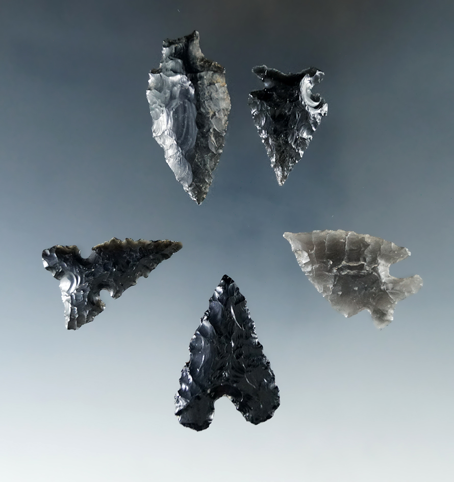 Set of five obsidian arrowheads found in Humboldt Co., Nevada, largest is 1 11/16".