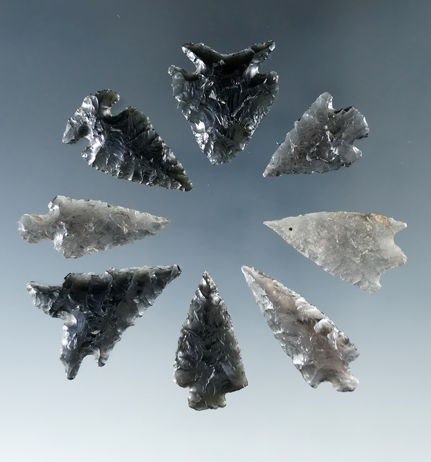 Set of eight assorted obsidian arrowheads found in Humboldt Co., Nevada, largest is 1 3/16".