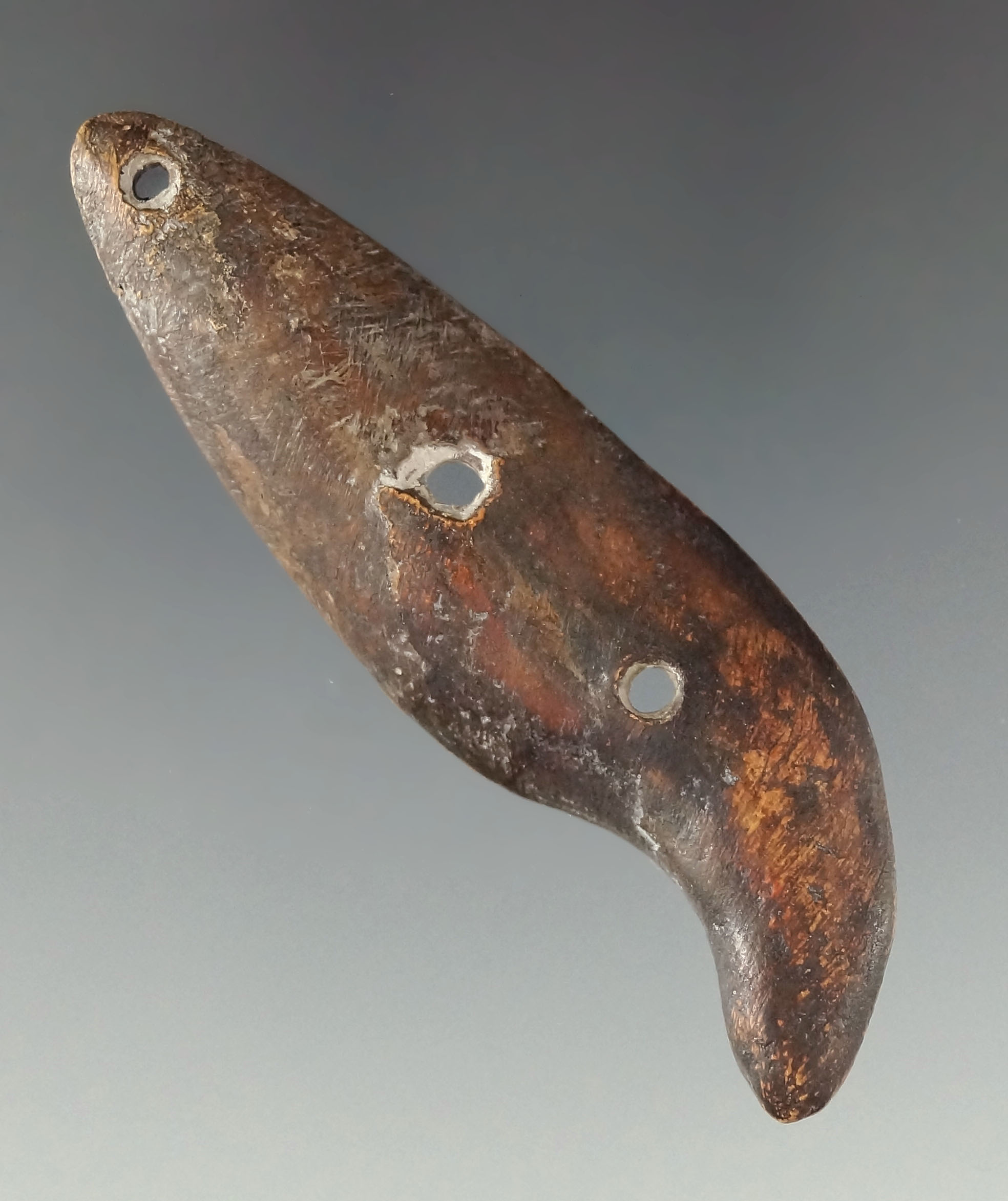 Very rare! three hole 2 5/8" split bear claw pendant found in southern Ohio.