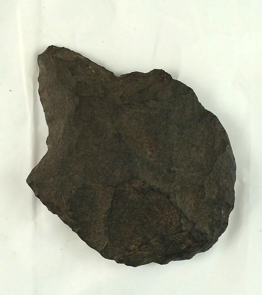 6" Stemmed Spade found in Arkansas. Comes with a Davis G-9 COA.