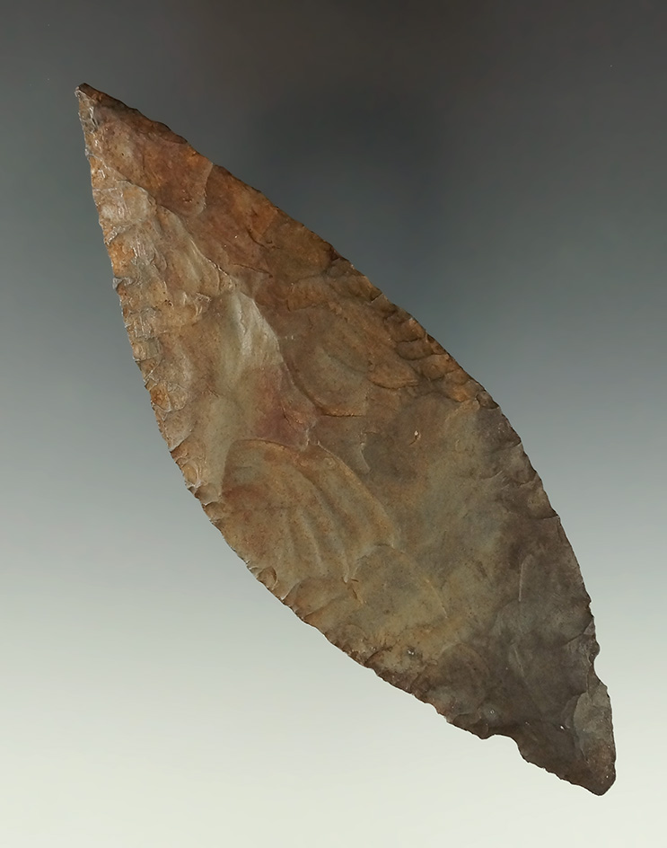 5 3/16" Turkeytail with a heavy coating of red ochre on one side found in Indiana.