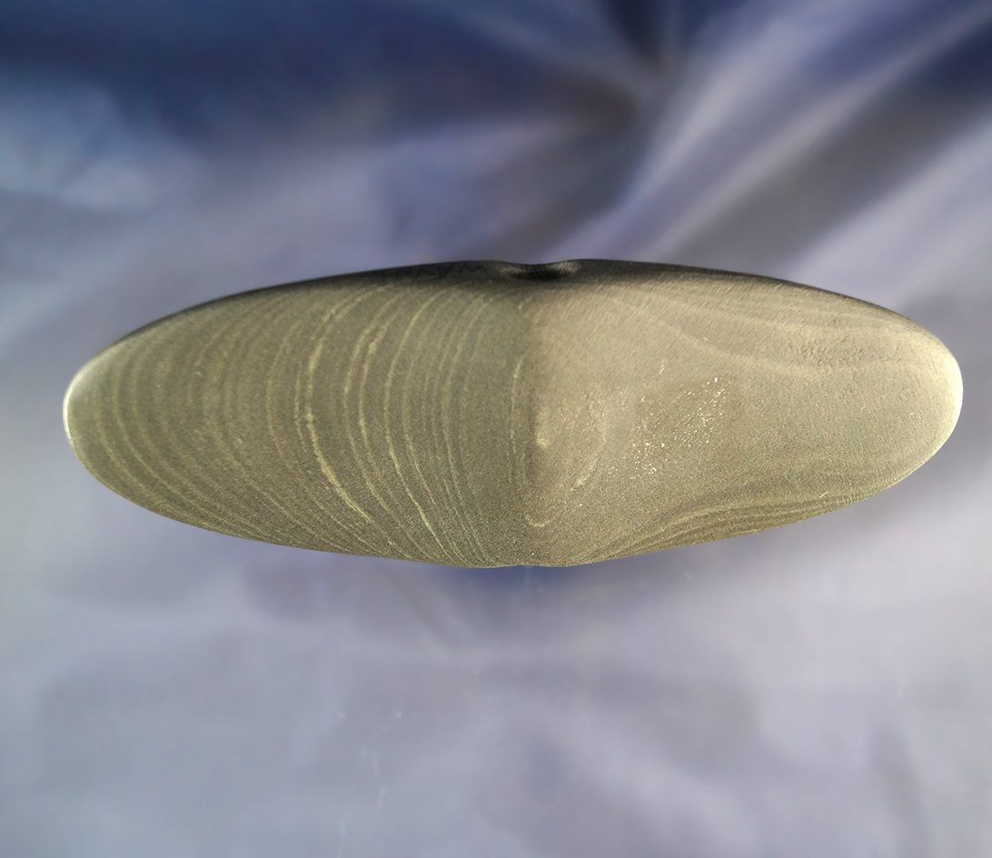 5 1/2" Winged Bannerstone made from green and black banded slate- Wayne Co.,  Ohio. Ex. Dilley.