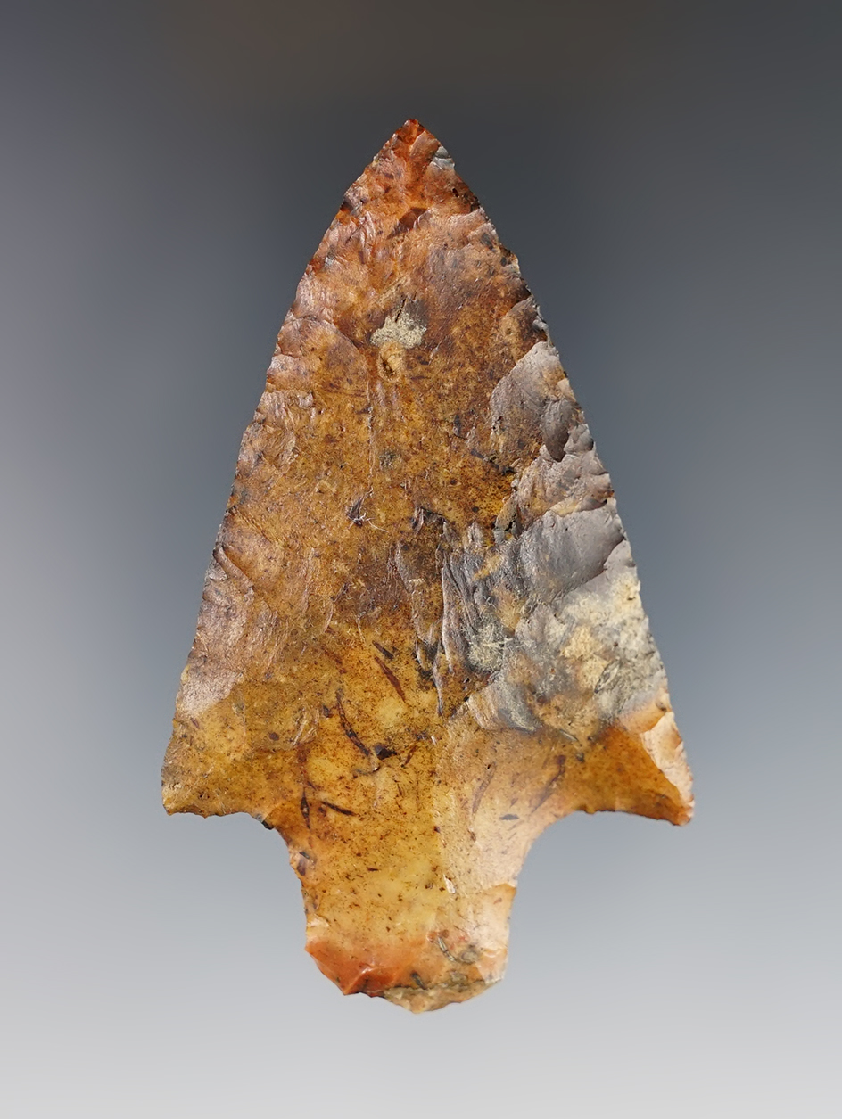 Highly colorful 2 7/8" Newnan found in Florida.