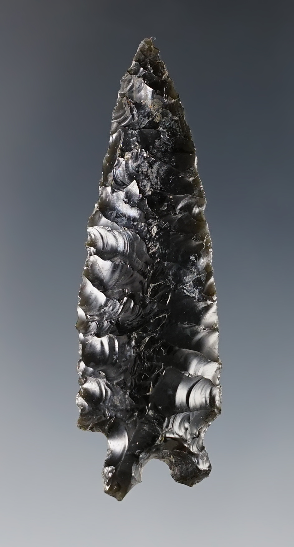 Outstanding 2 7/16" Obsidian Pinto Basin found in Oregon. Ex. C.L. Pugh Museum.