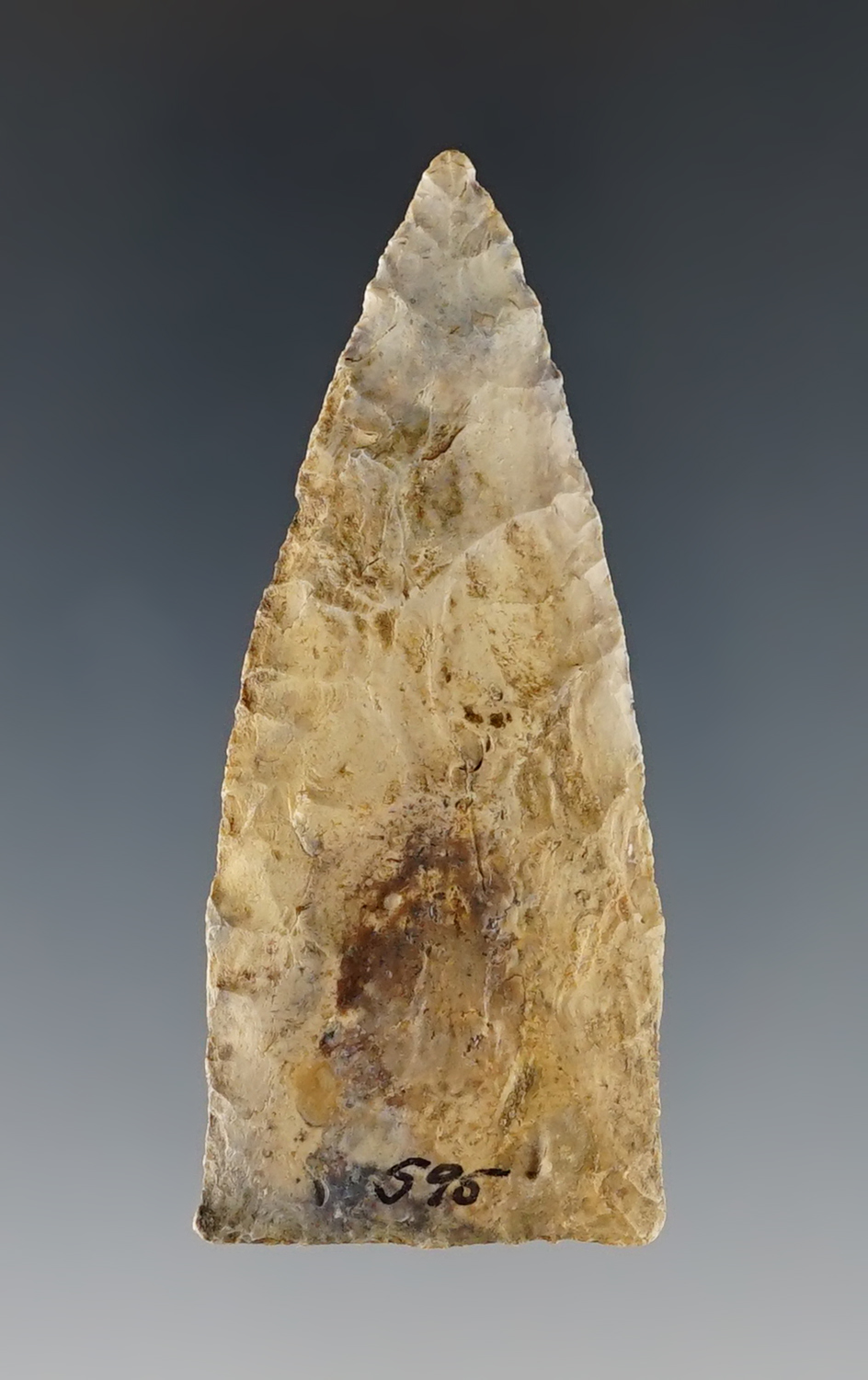 Colorful 2 1/2" Copena found in the Tennessee/Kentucky area. Well patinated.