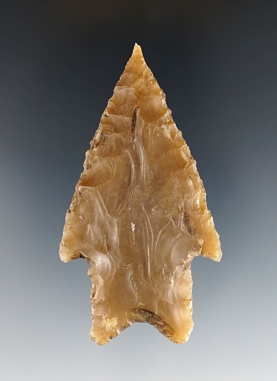 Fine 2 3/4" Pedernales found in Bandera Co., Texas. Comes with a Rogers COA.