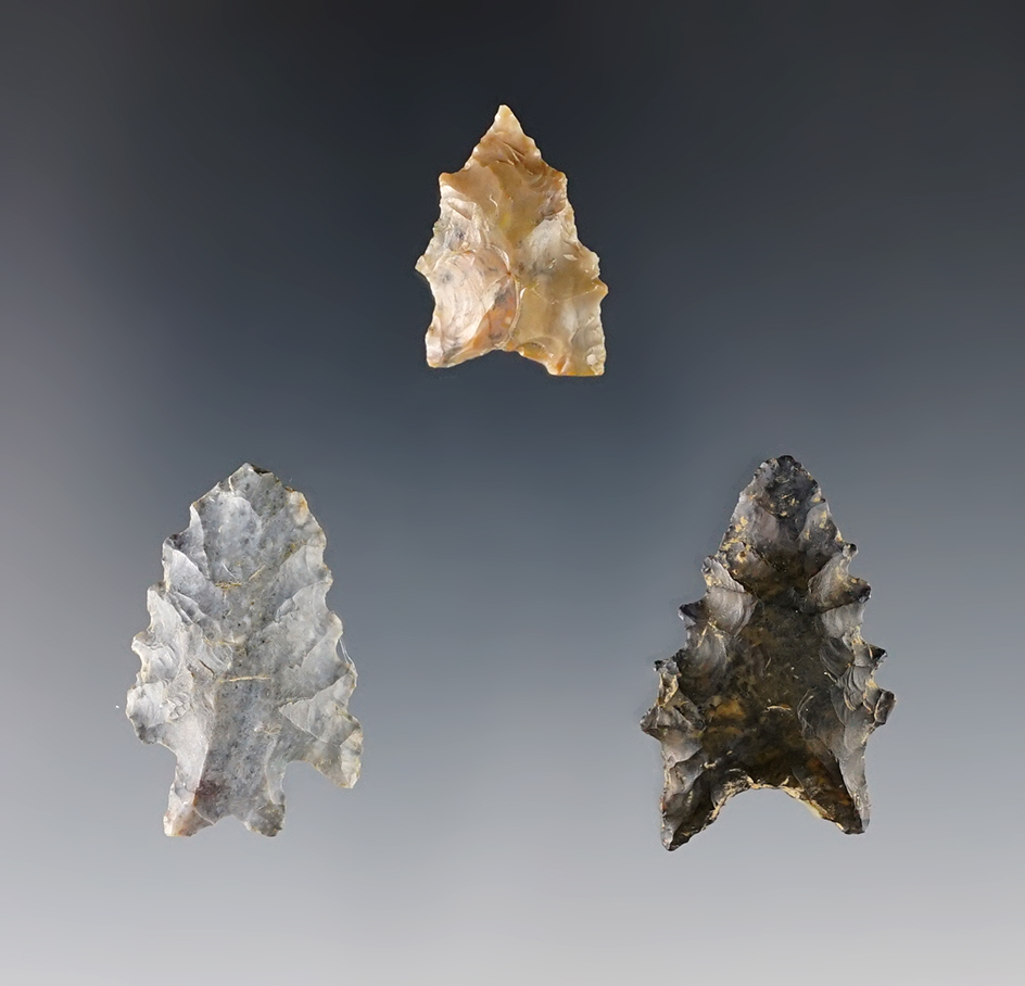 Three highly serrated Archaic Bifurcate Points, two Coshocton and one Pipe Creek. Ohio.