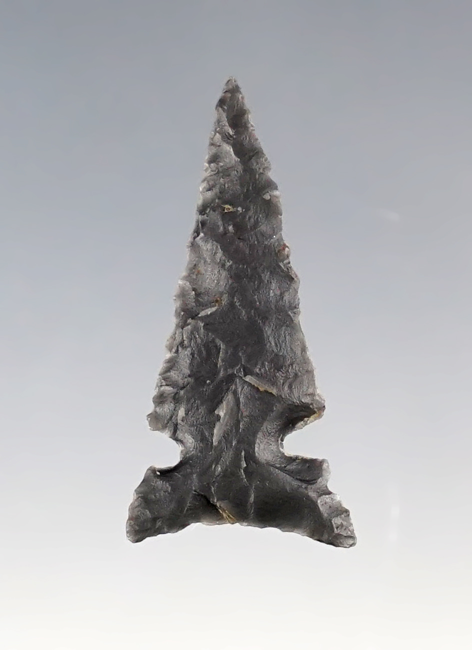 1 1/8" Desert Sidenotch in excellent condition. Ex. Gene Favell Museum collection. 