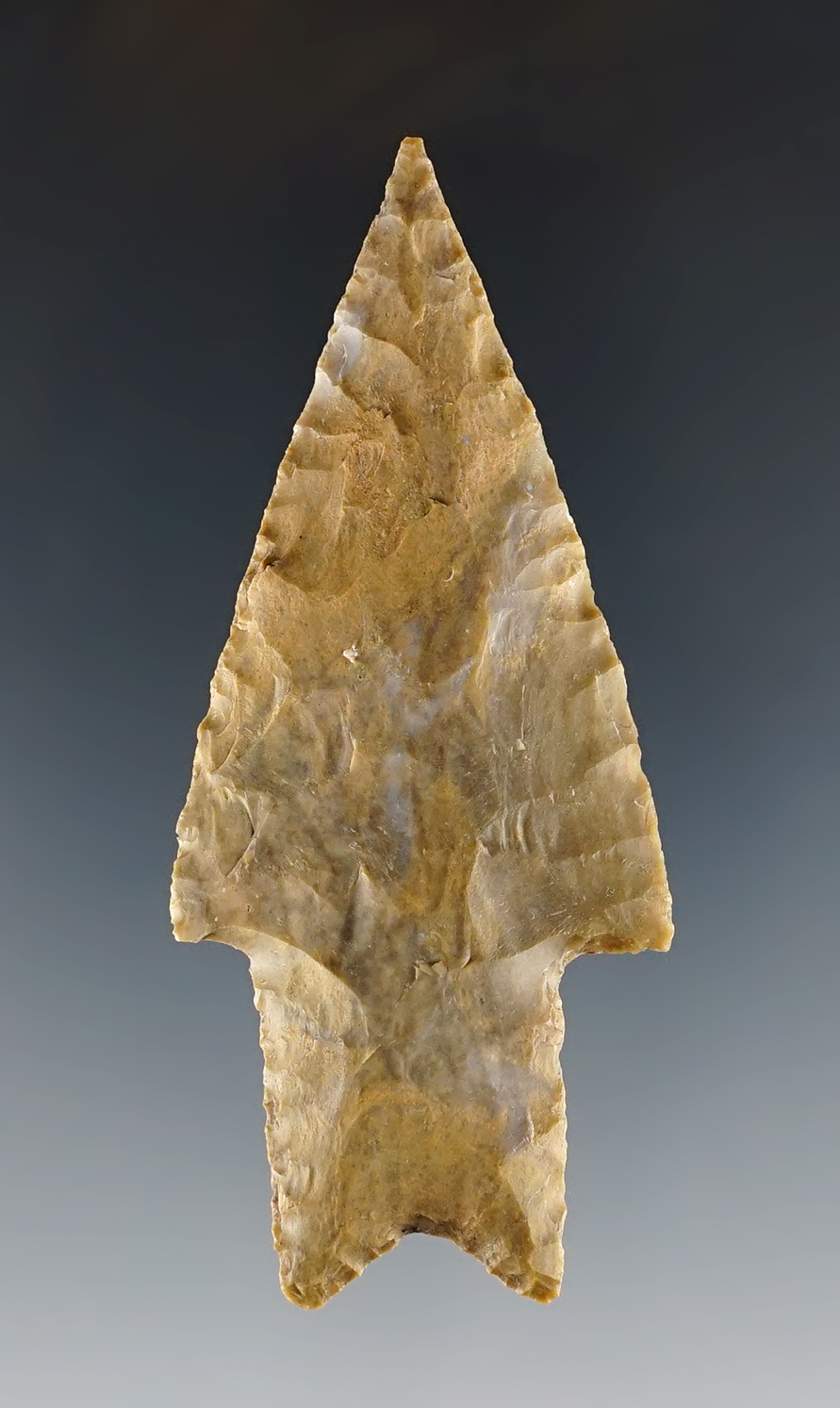 Colorful and well made 3 1/16" Pedernales found in Williamson Co., Texas. Rogers COA.