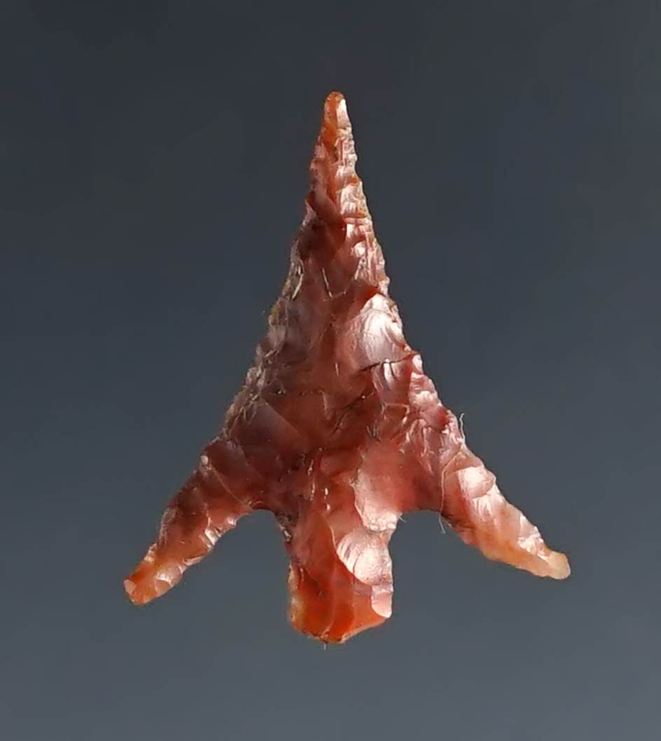 3/4" Columbia Plateau made from red jasper in perfect condition. Ex. Gene Favell Museum.
