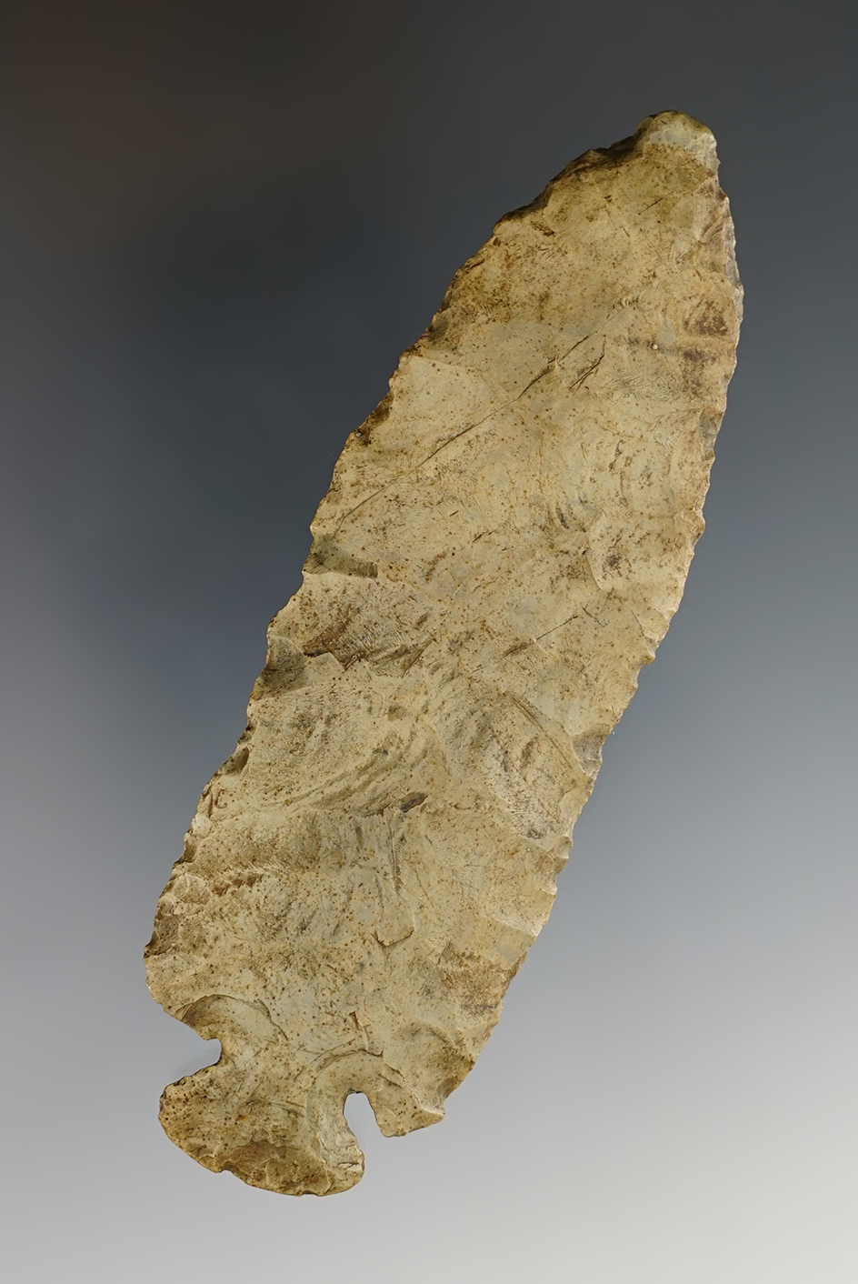 4 9/16" Dovetail that is very heavily patinated. Great Gully Site, Cayuga Co., New York.