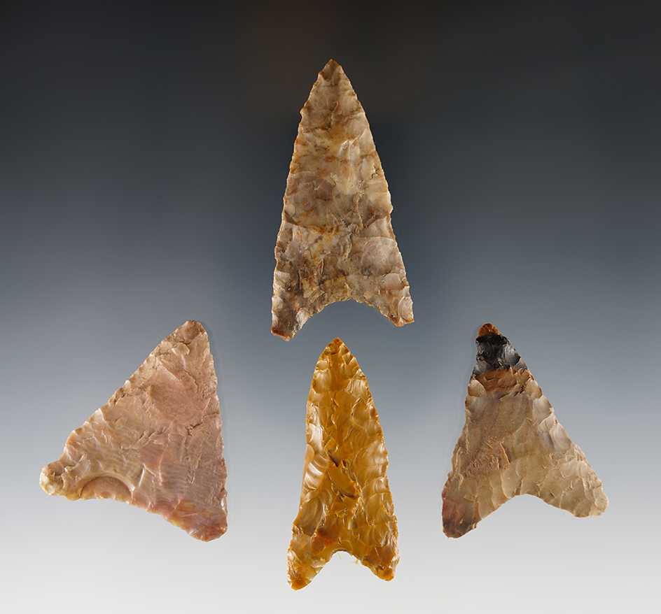 Set of 4 Columbia Mule Ear Points found near the Columbia River. The largest is 2 3/8".