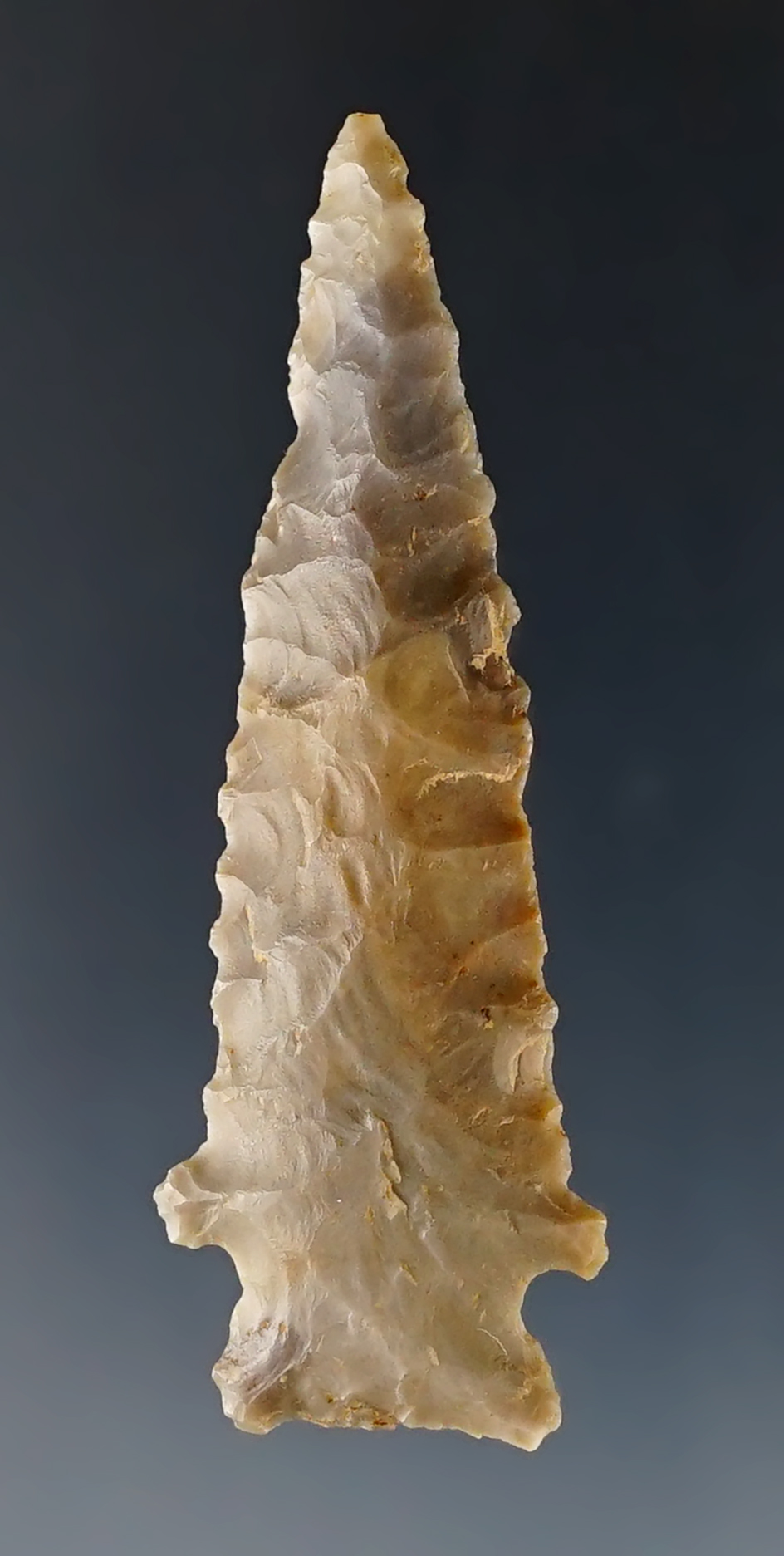 Nice 2 7/16" Serrated Kirk found in the early 1900's in Kentucky. 