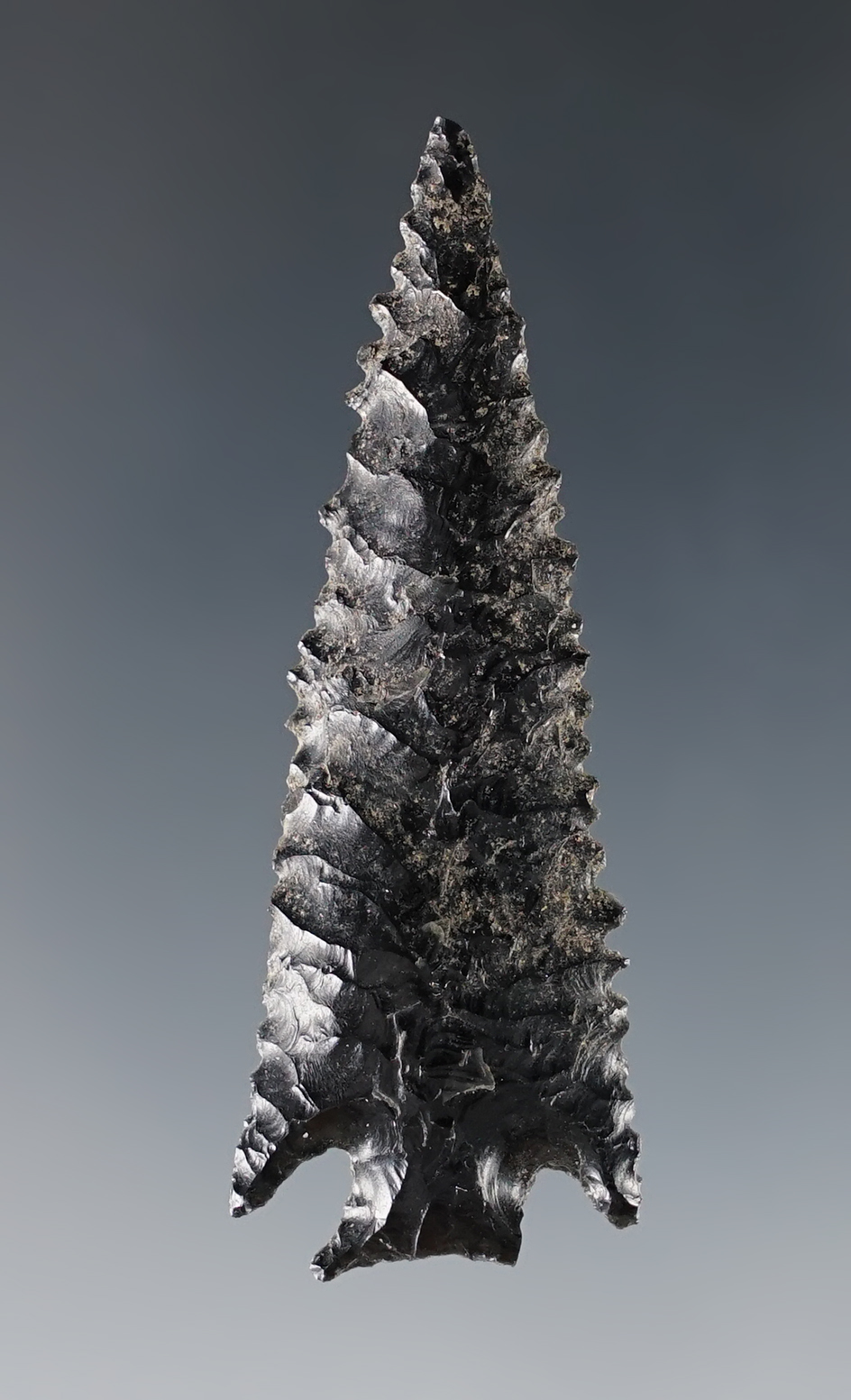 Finely serrated 2 1/8" Cornernotch found in Oregon. Made from obsidian. Ex. CL Pugh Museum.