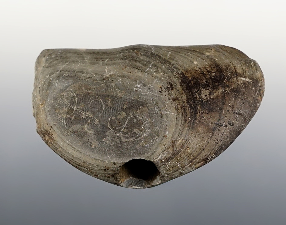 3 3/16" wide Wing Bannerstone found close to the Thornapple River in Barry Co., Michigan. 