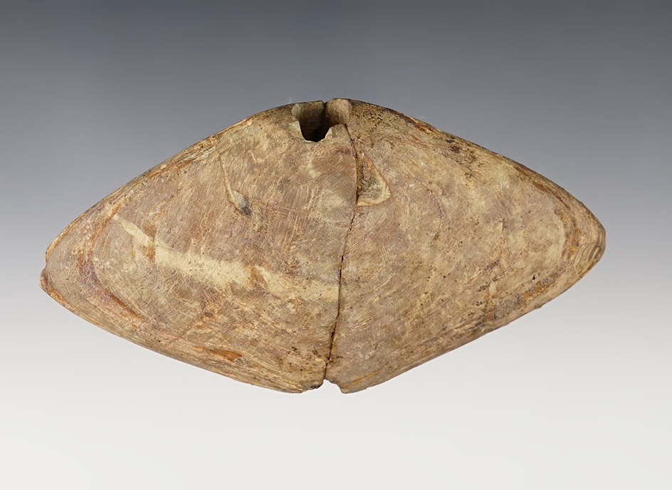 4 5/8" Wing Banner - anciently broken at barrel. Found by George Fisher in Auglaize Co., Ohio.