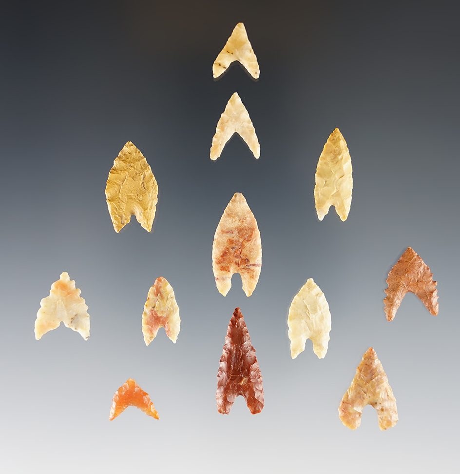 Set of 12 finely made African Neolithic Points. The largest is 15/16".