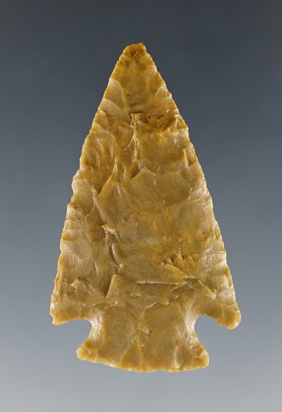 1 3/4" well styled Pelican Lake with nice flaking. Found in Colorado.