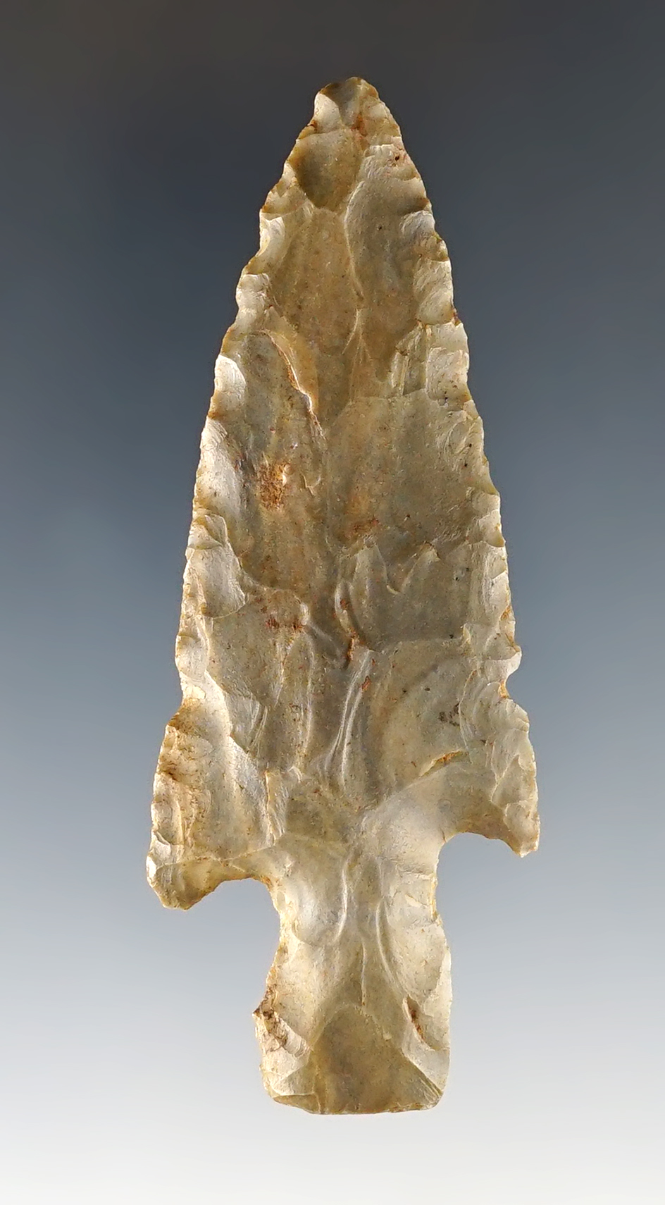 3 1/8" Buck Creek found by Paul Lewis near Cecilia, Hardin Co., Tennessee.