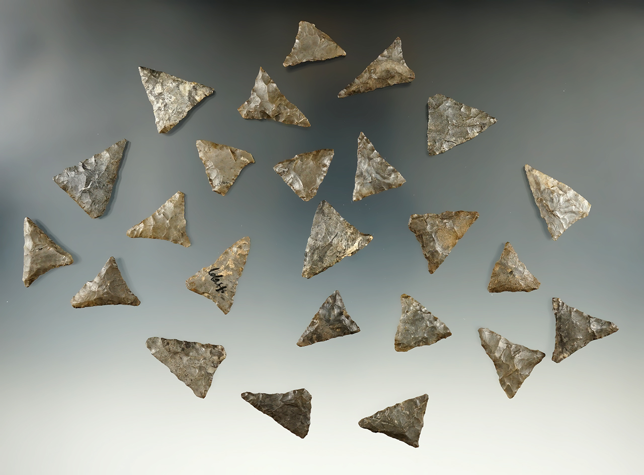 Set of 24 Mississippian triangle points found at the Cleary site in New York.