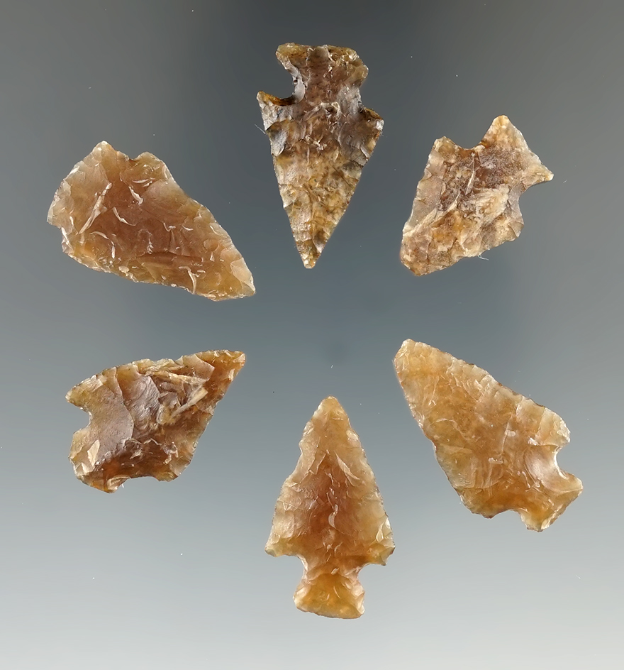 Group of six Knife River Flint arrow points found by Harlan Olson in Kingsbury Co., SD.